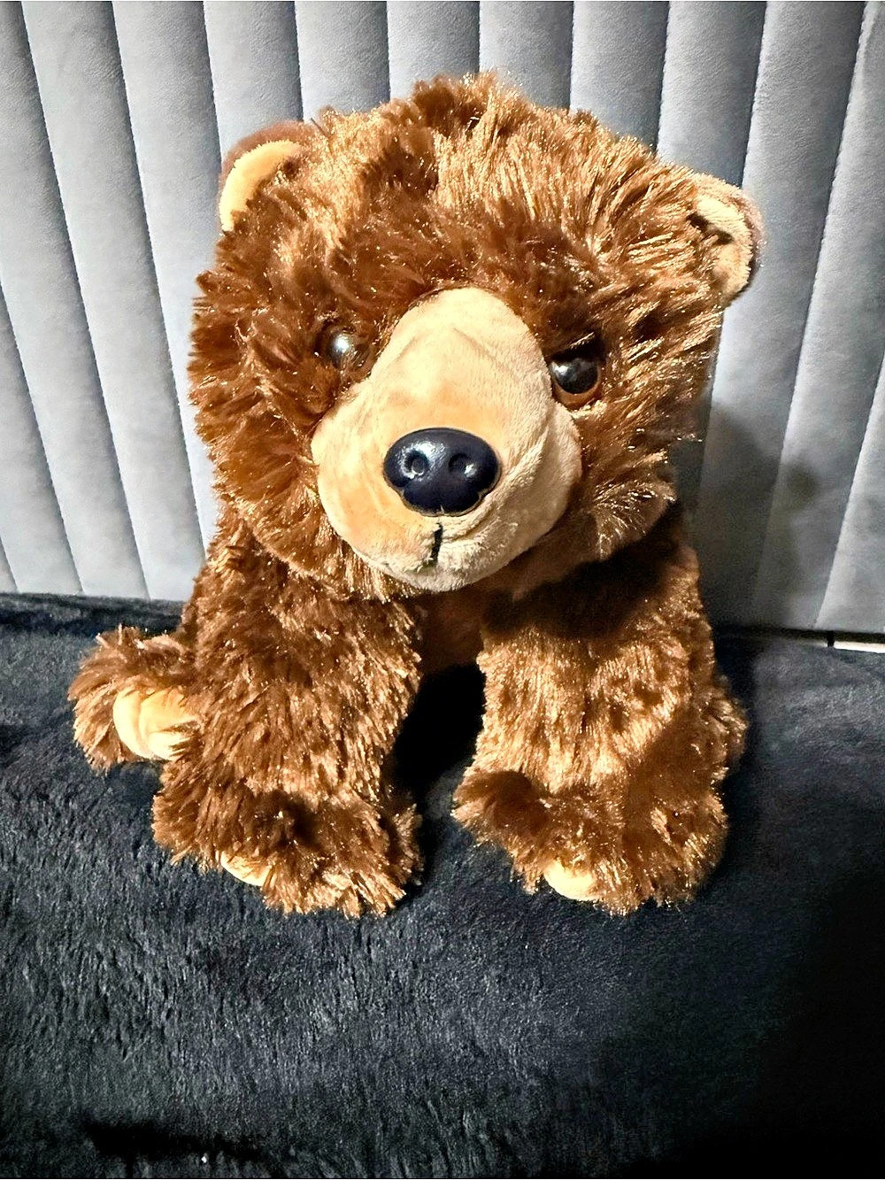 Wild Republic Pocketkins-ECO Brown Bear Plush Toy